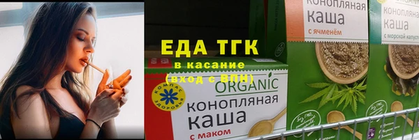 индика Надым