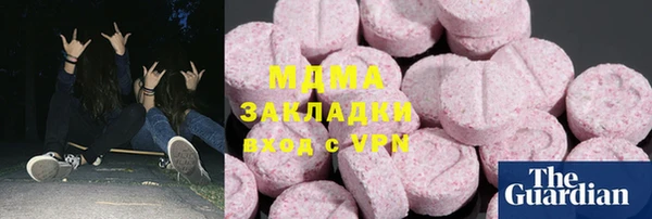 индика Надым