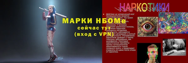 индика Надым