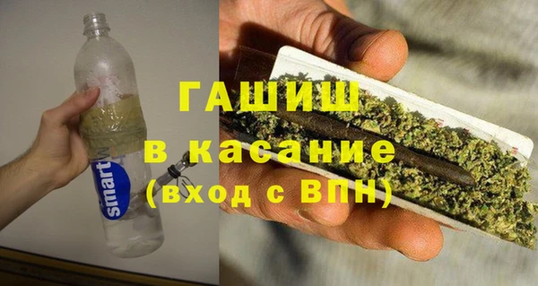 индика Надым