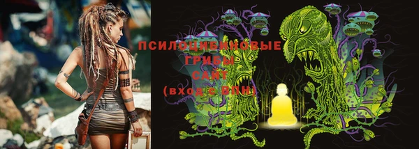 индика Надым