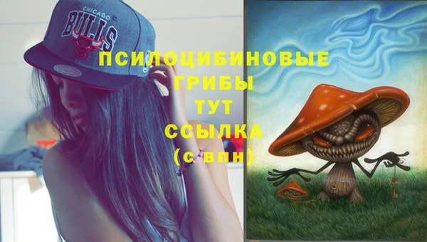 мяу мяу мука Наволоки