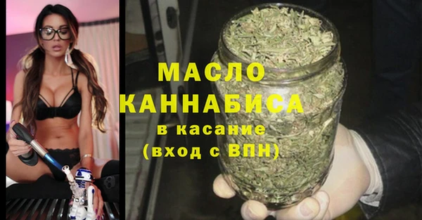 индика Надым