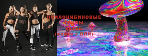 индика Надым