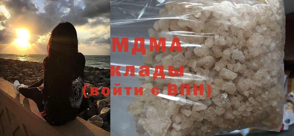 индика Надым
