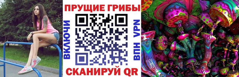 kraken   закладки  Пудож  Галлюциногенные грибы Cubensis 